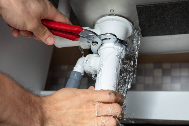 Best Flood damage cleanup  in Curtisville, PA