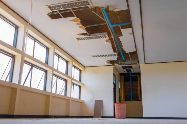 Best Fire Damage Restoration  in Curtisville, PA