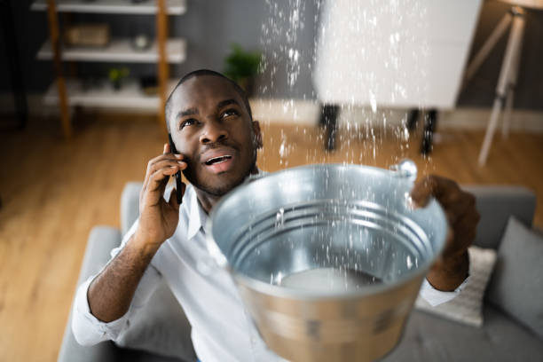 Trusted Curtisville, PA Water damage restoration Experts
