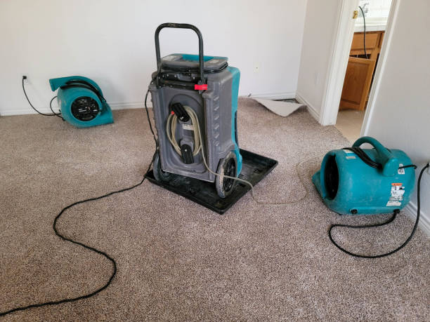 Best Water damage cleanup near me  in Curtisville, PA