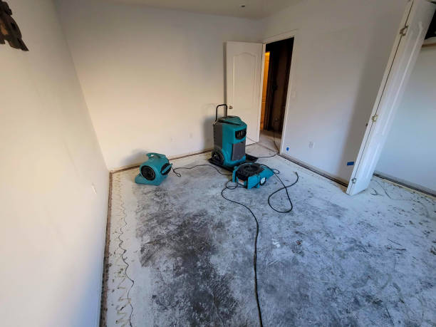 Best Sewage cleanup and water damage restoration  in Curtisville, PA