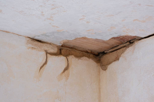 Best Water damage restoration company  in Curtisville, PA