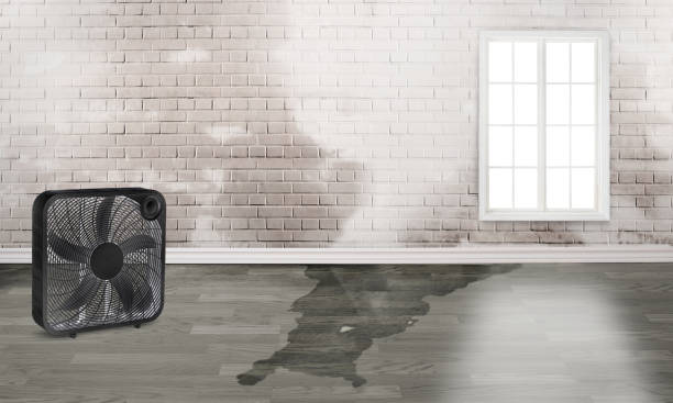 Water damage restoration mold remediation in Curtisville, PA