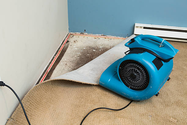 Best Residential water damage restoration  in Curtisville, PA